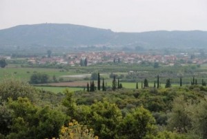 Γουριά - Γενική