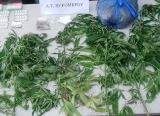 Συνελήφθησαν δύο στον Αστακό για καλλιέργεια και κατοχή ναρκωτικών