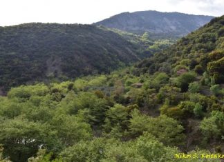 Εικόνες από τις άνοιξες στη Λογγά, στο ορεινό Θέρμο