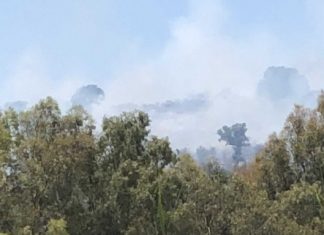 Πυρκαγιά στο λόφο του Τρίκαρδου στην Κατοχή