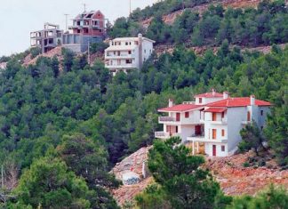 Προθεσμία 30 ημερών για την αναμόρφωση των δασικών χαρτών