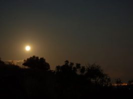 Μουσική βραδιά κάτω από το φως του φεγγαριού στην Πλευρώνα