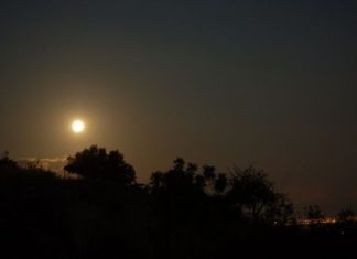 Αυγουστιάτικη Πανσελήνος: Εκδηλώσεις σε αρχαιολογικούς χώρους της Αιτωλοακαρνανίας