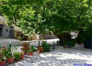 Ο γερο-πλάτανος της Κόκκιανης στο ορεινό Θέρμο