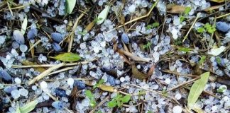 Χαλάζι σάρωσε τις καλλιέργειες – Σε Σταμνά και Λυσιμαχεία εντονότερο το φαινόμενο