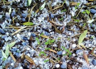 Χαλάζι σάρωσε τις καλλιέργειες – Σε Σταμνά και Λυσιμαχεία εντονότερο το φαινόμενο