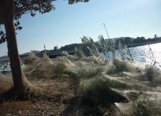 Spiderman Goes West: Τρολάρισμα σε Καραπάνο – Κατσιφάρα