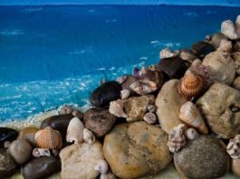 Έκθεση ζωγραφικής της Βασιλικής Βελέντζα με τίτλο “Aquatic heaven” στο Αγρίνιο