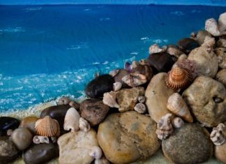 Έκθεση ζωγραφικής της Βασιλικής Βελέντζα με τίτλο “Aquatic heaven” στο Αγρίνιο