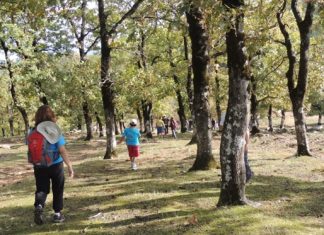 Περπατήστε με τον Ορειβατικό Σύλλογο Αγρινίου!