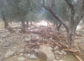 Βγάλτε τα πέρα μόνοι σας…