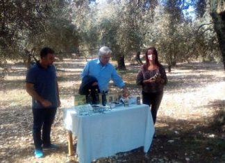 Διεθνείς διακρίσεις για την ελιά Καλαμών και το ελαιόλαδο “Βιοτριχωνίς”