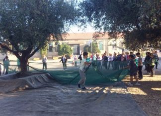 ‘Λιομάζεμα’ στο Δημοτικό Σχολείο Δοκιμίου σε συνεργασία με τους γεωπόνους του Τμήματος Αγροτικής Παραγωγής