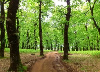 Δυτική Ελλάδα: Δημιουργούνται 35 θεματικές διαδρομές πεζοπορίας μέσω του ευρωπαϊκού έργου PATH