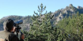 Δυτική Ελλάδα : Ολοκληρώνεται η διαδικασία αναμόρφωσης-κατάρτισης των δασικών χαρτών