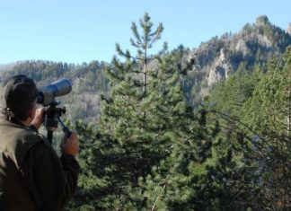 Οι κρατικοί δασικοί υπάλληλοι που ψαρεύουν!!!