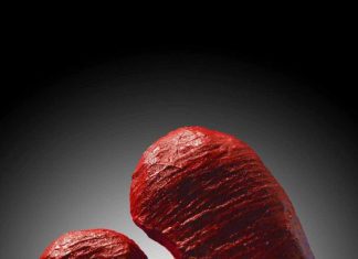 “To κομμάτι που λείπει” στην Εφηβική Σκηνή του ΔΗΠΕΘΕ Αγρινίου