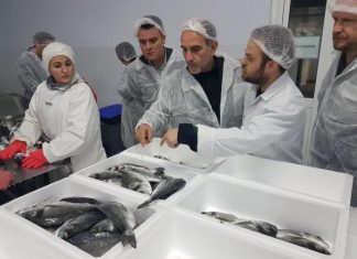 – Μόνο να μην τα δεις στον ύπνο σου γιατί είναι λαχτάρα