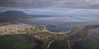 Δενδροφύτευση στο Μεσολόγγι την Κυριακή από το «Όλοι Μαζί Μπορούμε»