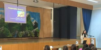 Ο δρόμος της ελιάς στη Γαβαλού Μακρυνείας