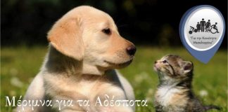 «Για την Κοινότητα Μεσολογγίου»: Μέριμνα για τα Αδέσποτα Ζώα Συντροφιάς
