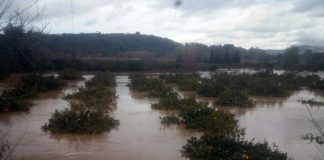 “Οικολογική Δυτική Ελλάδα”: Αποκατάσταση υγροτόπων, η μόνη βιώσιμη αντιπλημμυρική προστασία