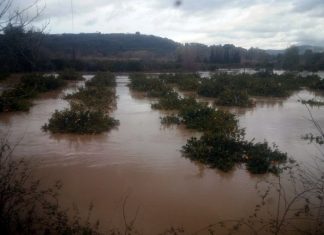 “Οικολογική Δυτική Ελλάδα”: Αποκατάσταση υγροτόπων, η μόνη βιώσιμη αντιπλημμυρική προστασία