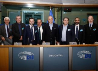 Το ζήτημα των αντισταθμιστικών από τη ΔΕΗ στο Ευρωκοινοβούλιο