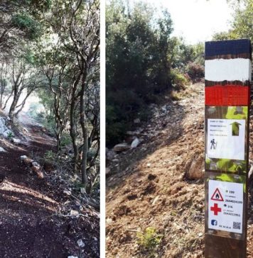 Μονοπάτια : Οι “λεωφόροι του μέλλοντος”