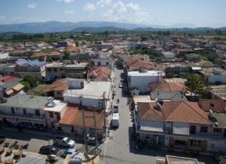 Νεοχώρι: Εντοπίστηκε «ορφανή» μίνι χασισοφυτεία με 17 δενδρύλλια