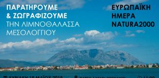 Ημέρα Natura2000: Παρατηρούμε και Ζωγραφίζουμε την Λιμνοθάλασσα Μεσολογγίου