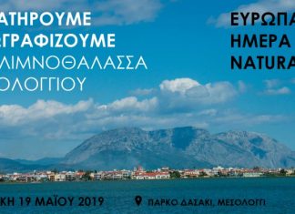 Ημέρα Natura2000: Παρατηρούμε και Ζωγραφίζουμε την Λιμνοθάλασσα Μεσολογγίου