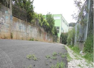 Ανεξάρτητη Ενωτική Πρωτοβουλία: Η προεκλογική άσφαλτος…”χορταριάζει”!