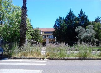 “Συμμαχία Πολιτών”: Απαράδεκτη κατάσταση έξω από το Πανεπιστήμιο της πόλης μας