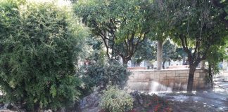 Νέες φυτεύσεις στις πλατείες Τσακανίκα και Παναγοπούλου