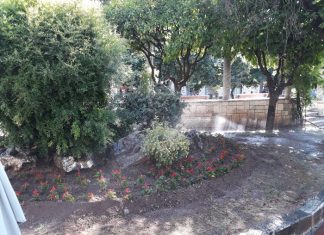 Νέες φυτεύσεις στις πλατείες Τσακανίκα και Παναγοπούλου