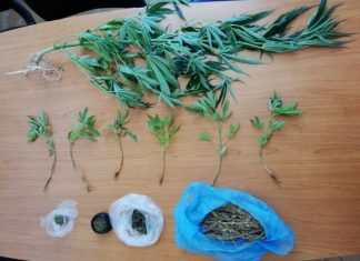 Συνελήφθη 64χρονος χασισοκαλλιεργητής στο Πατιόπουλο Βάλτου