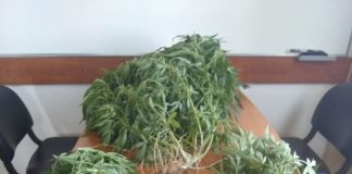 Δύο συλλήψεις για κατοχή ναρκωτικών