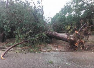 Ο αέρας που πήρε δένδρα και… έγγραφα