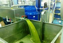 Το αυτογκόλ της Ελλάδας με το ελαιόλαδο