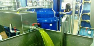 «Στροφή» προς στο ελαιοτριβείο κάνουν παραγωγοί της ελιάς Καλαμών