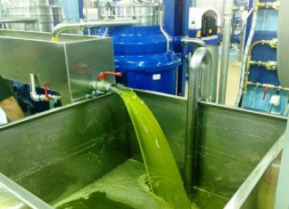 Ημερίδα στο Αγρίνιο για τα ψηφιακά δελτία αποστολής στα ελαιοτριβεία