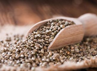 Σπόροι Κάνναβης: Εσύ γιατί θα τους χρησιμοποιήσεις;