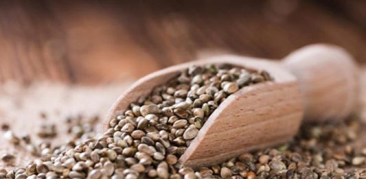 Σπόροι Κάνναβης: Εσύ γιατί θα τους χρησιμοποιήσεις;