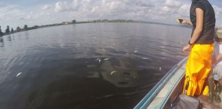 Λιμνοθάλασσα: Η έλλειψη ανανέωσης των νερών και οι επιφανειακές απορροές επιτείνουν το πρόβλημα