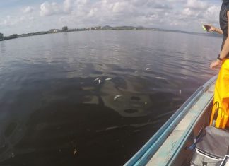 Λιμνοθάλασσα: Η έλλειψη ανανέωσης των νερών και οι επιφανειακές απορροές επιτείνουν το πρόβλημα