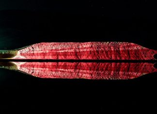 “WorldConnection”: Η έκθεση της Νάντιας Σκορδοπούλου παρουσιάζεται στο Αγρίνιο