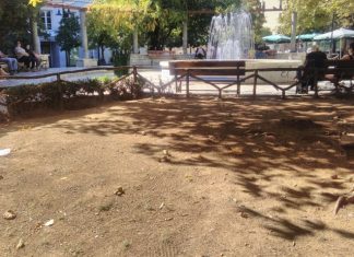 Το “ορφανό” πράσινο χρειάζεται “υιοθεσία”