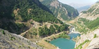 Λεφτόδεντρο με τα νερά του Αχελώου στη Θεσσαλία βρήκαν οι Ολλανδοί