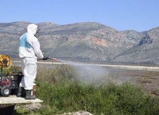 Περιφέρεια Δυτικής Ελλάδας: Εντατικοποιούνται οι δράσεις καταπολέμησης κουνουπιών μετά τις πρόσφατες βροχοπτώσεις